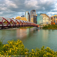 Buy canvas prints of bridge to Calgary by jonathan nguyen