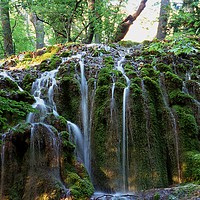 Buy canvas prints of Cascade, Gemenos Forest, Marseille, France by Alfredo Bustos