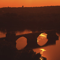 Buy canvas prints of Avignon bridge (horizontal image) by Alfredo Bustos