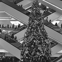 Buy canvas prints of Stairs to Christmas tree  by Alfredo Bustos