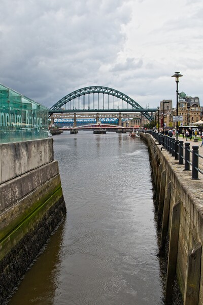 Tyne Bridges, Newcastle Picture Board by Rob Cole