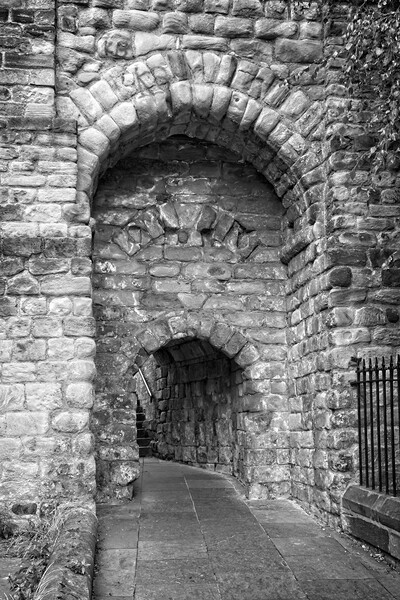 Castle Ruins, Newcastle upon Tyne Picture Board by Rob Cole