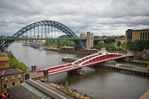 Newcastle Tyne and Swing Bridges Picture Board by Rob Cole