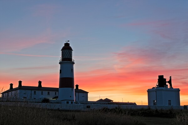 Souter Lighthouse Sunset Picture Board by Rob Cole