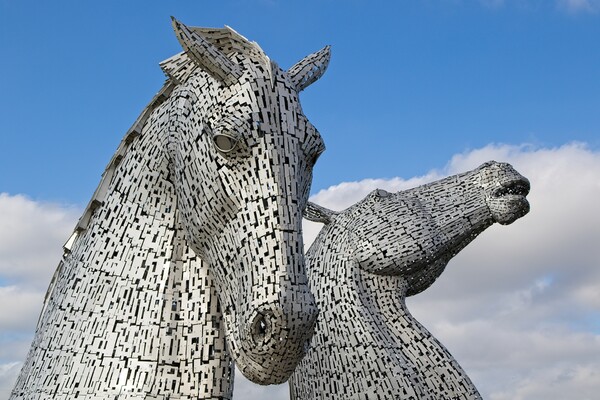The Kelpies, Falkirk, Scotland Picture Board by Rob Cole