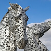 Buy canvas prints of The Kelpies, Falkirk, Scotland by Rob Cole