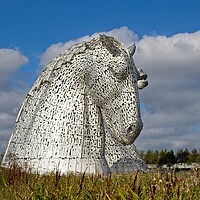 Buy canvas prints of The Kelpies, Falkirk, Scotland by Rob Cole