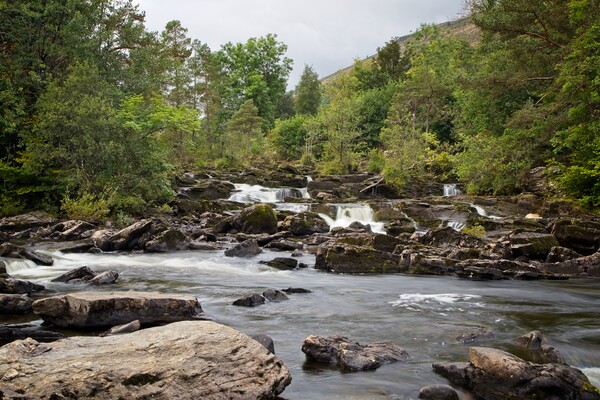 The Falls of Dochart, Killin, Scotland Picture Board by Rob Cole
