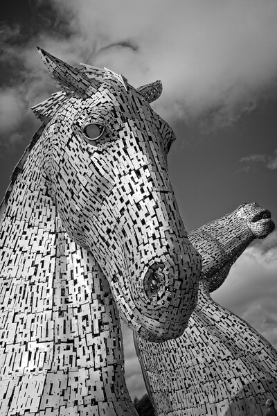 The Kelpies, Falkirk, Scotland Picture Board by Rob Cole