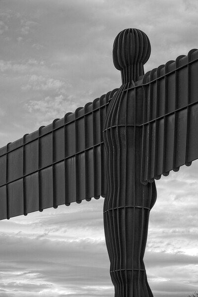 Angel of the North, Gateshead Picture Board by Rob Cole