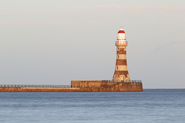 Roker Pier and Lighthouse Picture Board by Rob Cole