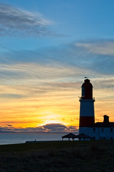 Souter Lighthouse Sunrise Picture Board by Rob Cole