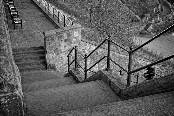 King Edwards Bay Steps, Tynemouth Picture Board by Rob Cole