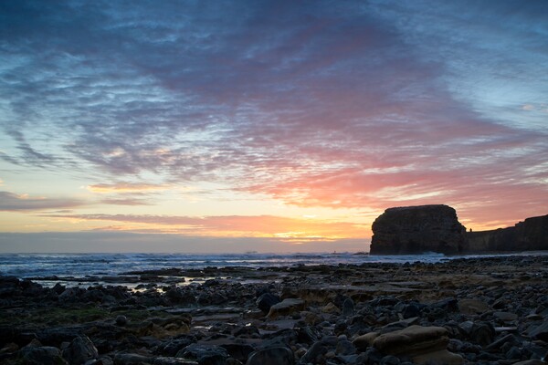 Marsden Rock Sunrise, South Shields Picture Board by Rob Cole