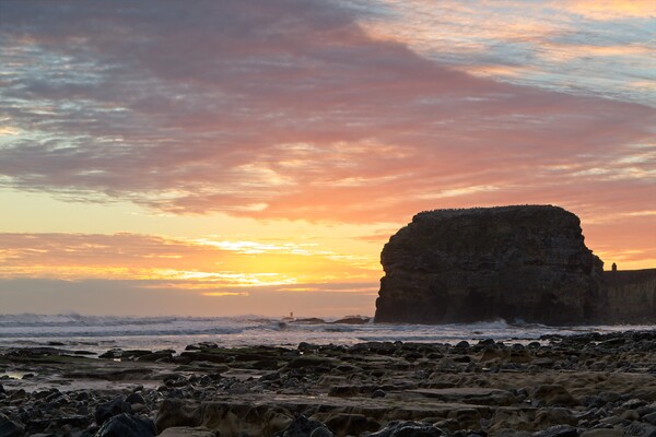 Majestic Sunrise at Marsden Rock Picture Board by Rob Cole