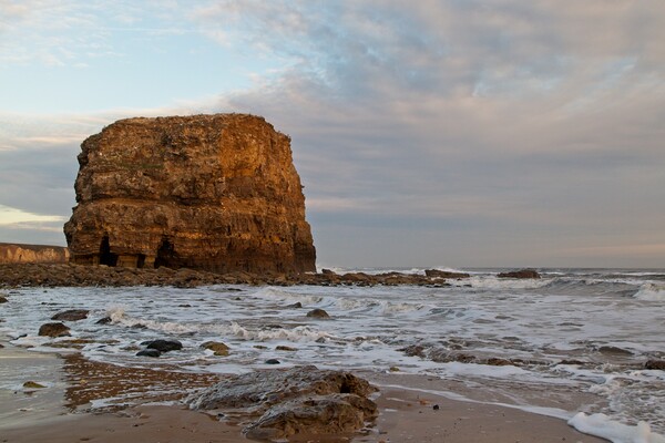 Marsden Rock, South Shields Picture Board by Rob Cole