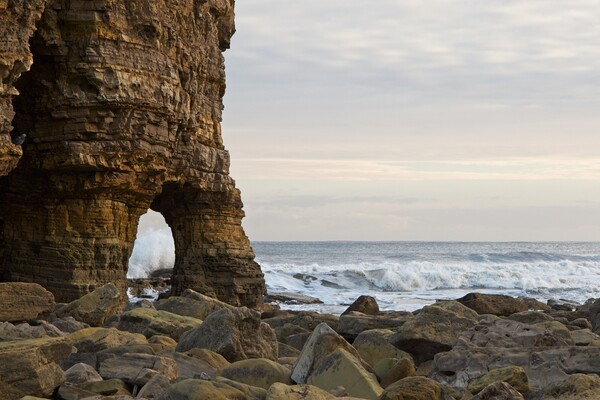 Marsden Rock, South Shields Picture Board by Rob Cole