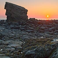 Buy canvas prints of Charlies Garden, Collywell Bay by Rob Cole