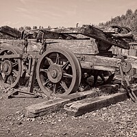 Buy canvas prints of Rotting Rolling Stock by Rob Cole