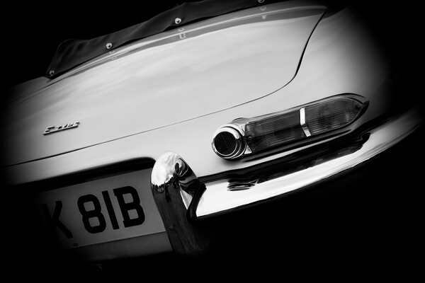 Timeless Elegance Jaguar EType Rear Lights Picture Board by Rob Cole