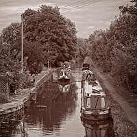 Buy canvas prints of Montgomery Canal, Maesbury Marsh by Rob Cole