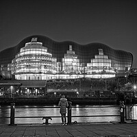 Buy canvas prints of Sage Gateshead, Admiring the View by Rob Cole