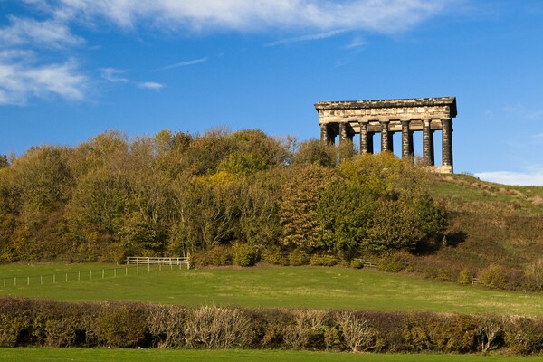 Penshaw Monument, County Durham Picture Board by Rob Cole