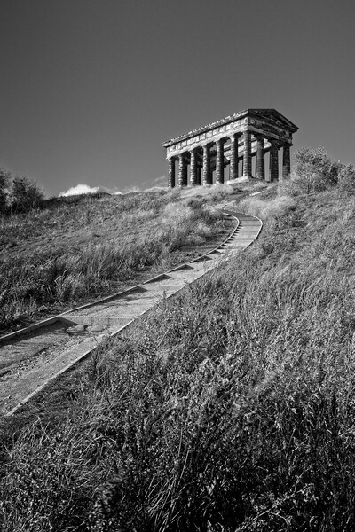 Penshaw Monument, County Durham Picture Board by Rob Cole