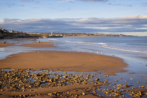 Seaburn from Roker Pier, Sunderland Picture Board by Rob Cole