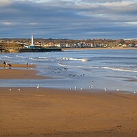 Buy canvas prints of Seaburn from Roker Pier, Sunderland by Rob Cole