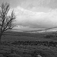 Buy canvas prints of Moody Yorkshire Dales Landscape by Rob Cole