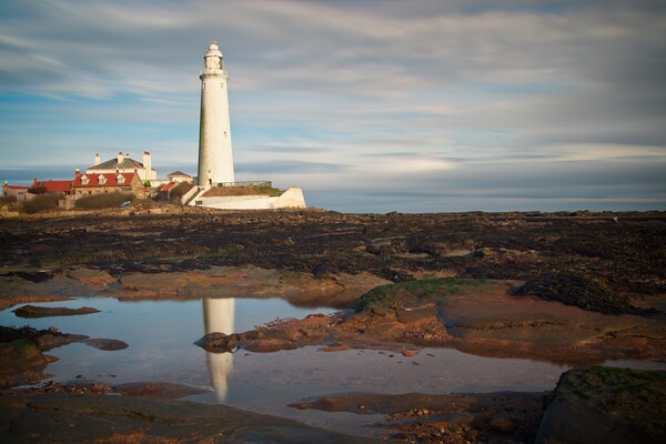 St Marys Lighthouse, Whitley Bay Picture Board by Rob Cole