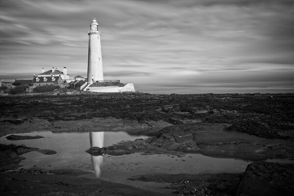 St Marys Lighthouse, Whitley Bay Picture Board by Rob Cole