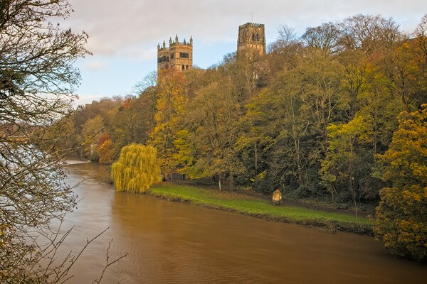 Durham Cathedral in Autumn Picture Board by Rob Cole