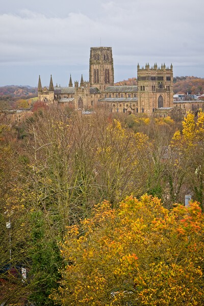 Durham Cathedral in Autumn Picture Board by Rob Cole