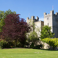 Buy canvas prints of Langley Castle, Langley, Hexham, Northumberland, E by Rob Cole