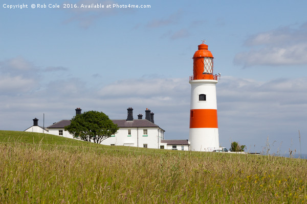 Souter Lighthouse, Whitburn, Sunderland, Tyne and  Picture Board by Rob Cole