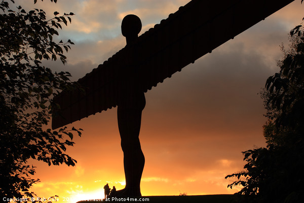 Angel of the North Sunset, Newcastle-Gateshead Picture Board by Rob Cole