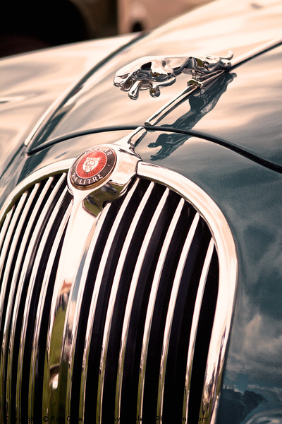 Jaguar Hood Emblem Picture Board by Rob Cole