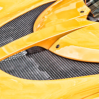 Buy canvas prints of Bright Yellow Lotus Hood by Rob Cole
