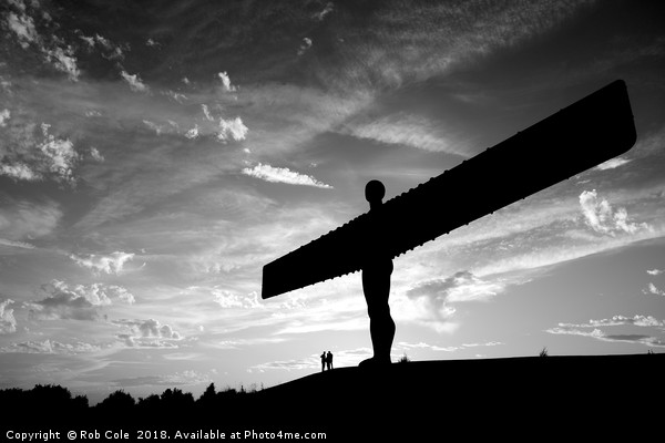 Angel of the North, Newcastle-Gateshead, Tyne and  Picture Board by Rob Cole