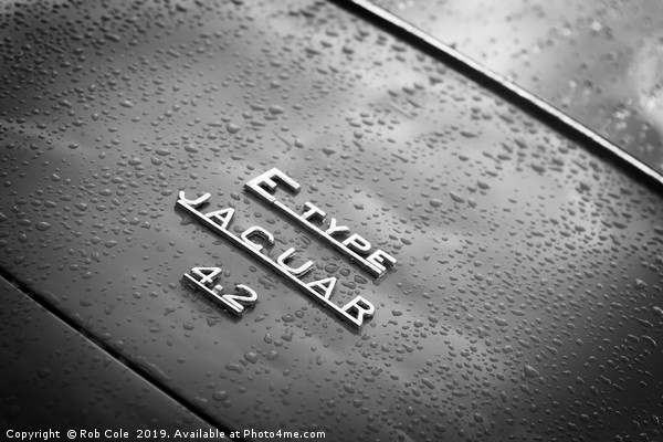 Classic Vintage E-Type Jaguar Sports Car Picture Board by Rob Cole