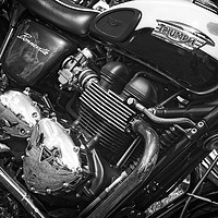 Buy canvas prints of Classic Triumph Bonneville Motorcycle by Rob Cole