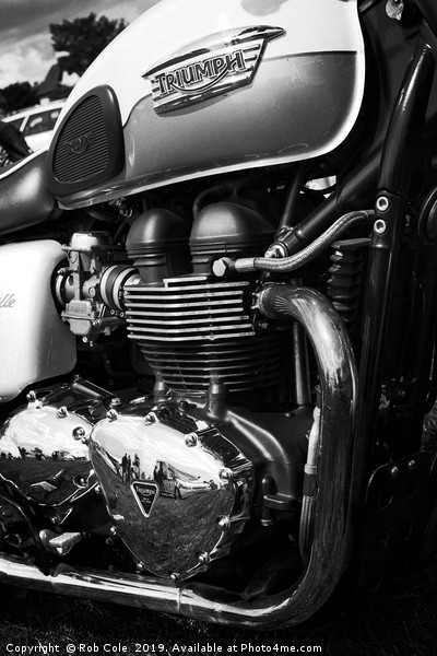 Triumph Bonneville Motorcycle Engine Picture Board by Rob Cole