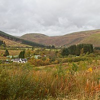 Buy canvas prints of Ettrick Valley Landscapes, Scottish Borders by Rob Cole