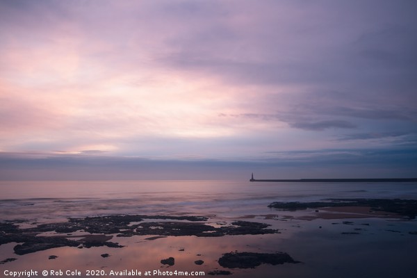 Serene Sunrise Over Seaburn Coast Picture Board by Rob Cole