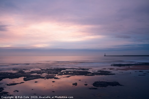 Majestic Sunrise over Seaburn Coastline Picture Board by Rob Cole
