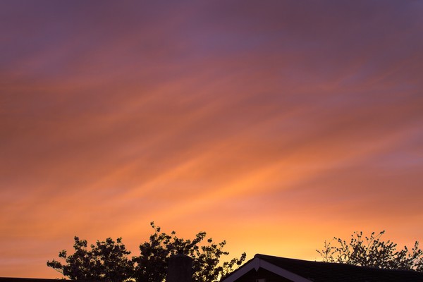 Tranquil Sunset over Spring Rooftops Picture Board by Rob Cole