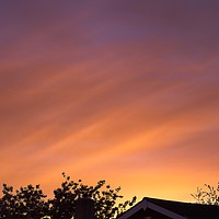 Buy canvas prints of Tranquil Sunset over Spring Rooftops by Rob Cole