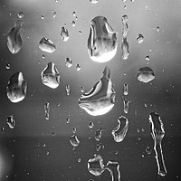 Buy canvas prints of Dancing Raindrops by Rob Cole